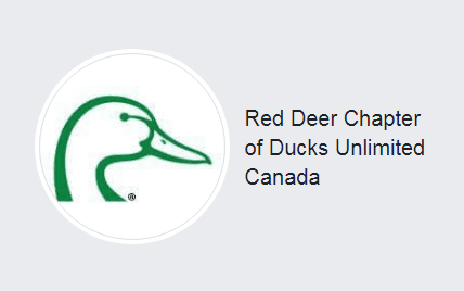 Red Deer Chapter of Ducks