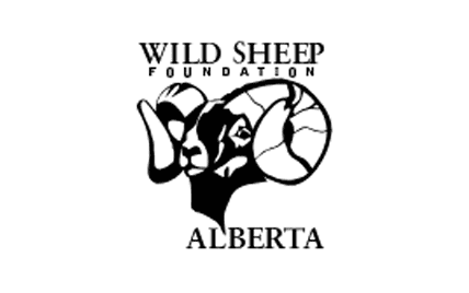 Wild Sheep Foundation
